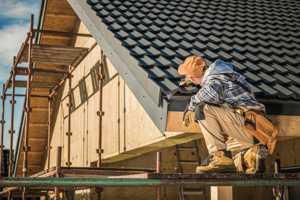 Best Roof Moss and Algae Removal  in Dunmore, PA