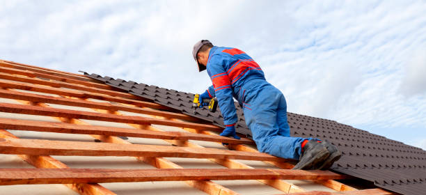 Best Skylight Installation and Repair  in Dunmore, PA